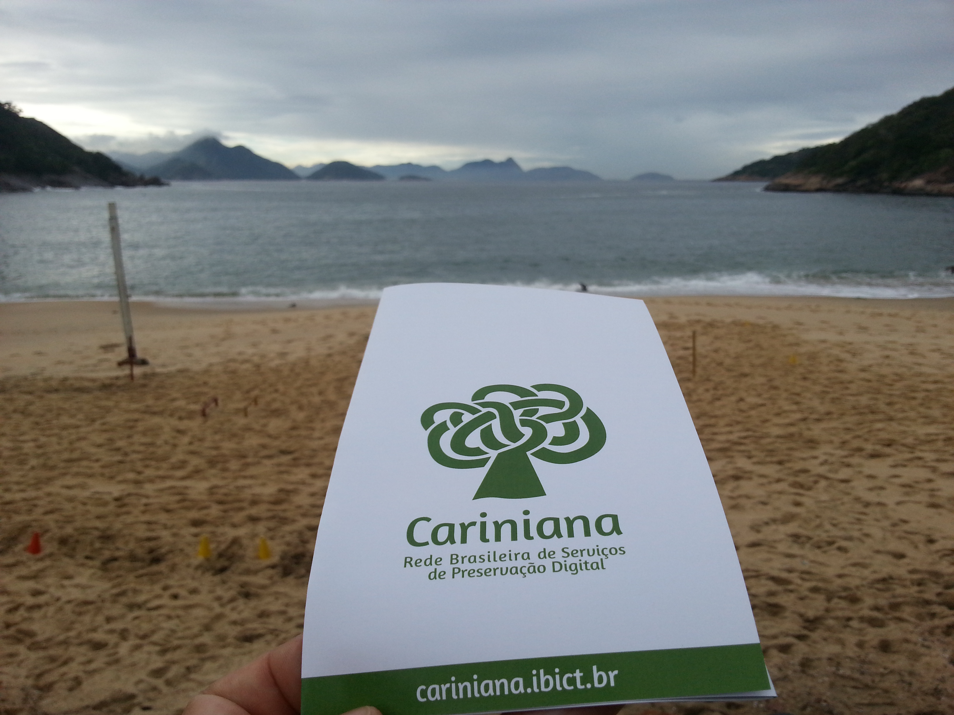 Cariniana no Rio